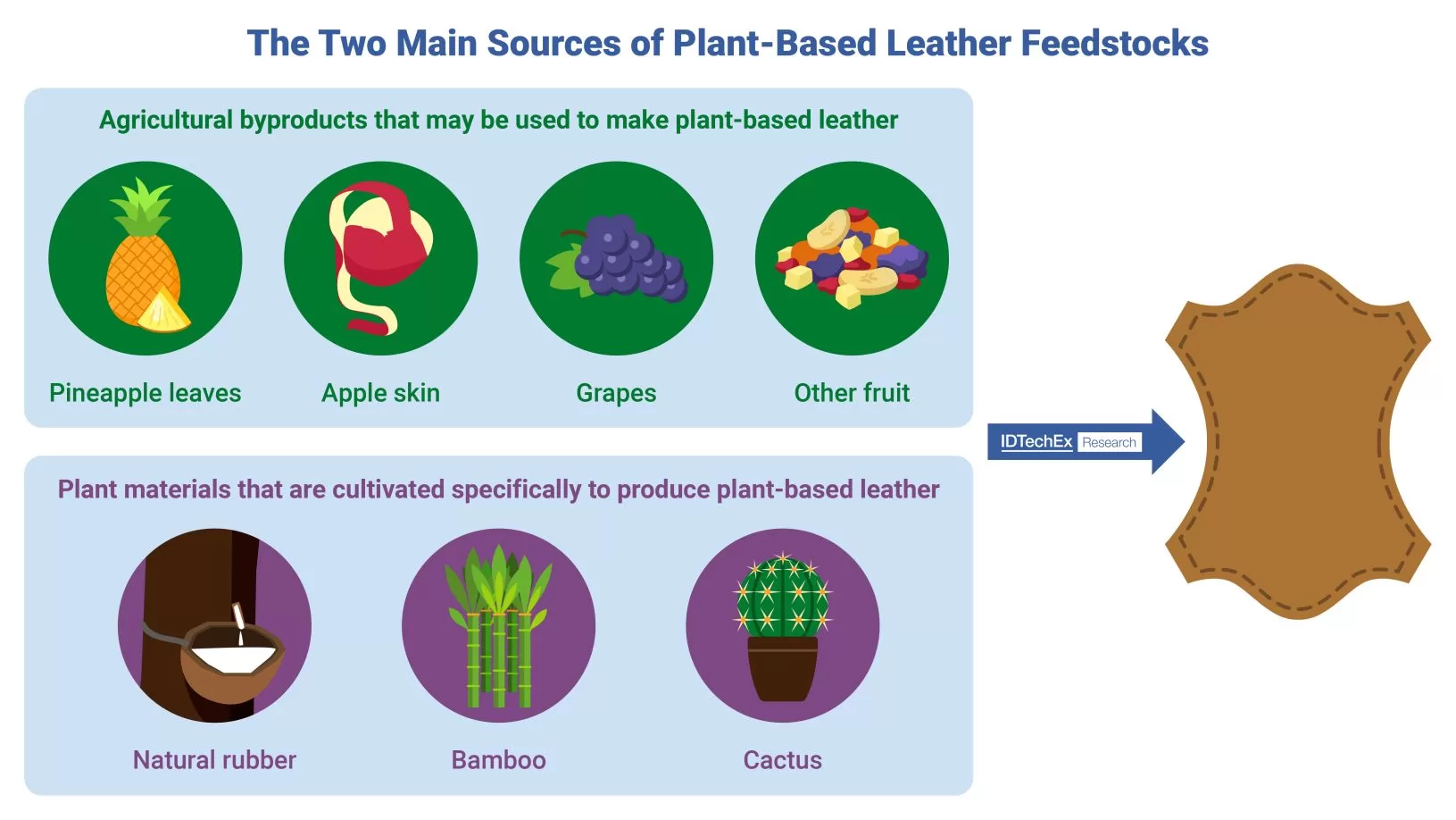 A selection of the input feedstocks that are currently being utilized to produce plant-based leather. Source IDTechEx.jpg