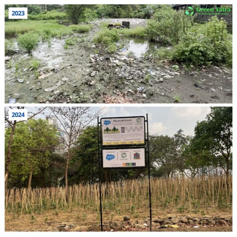 This Earth Day, Salesforce India to drive innovation for a sustainable future