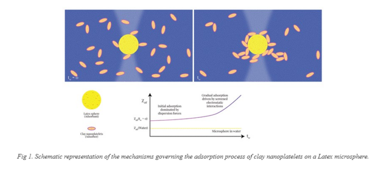 Indian Researchers Unveil New Adsorption Insights Using Nanoclays