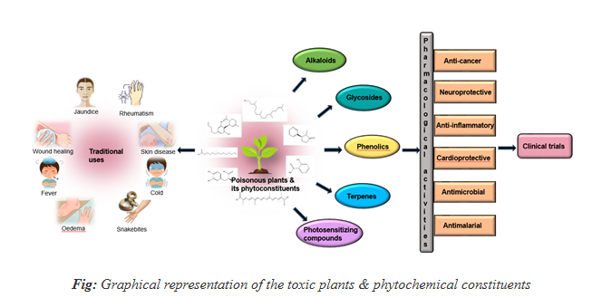 Indian Scientists have uncovered a paradoxical truth