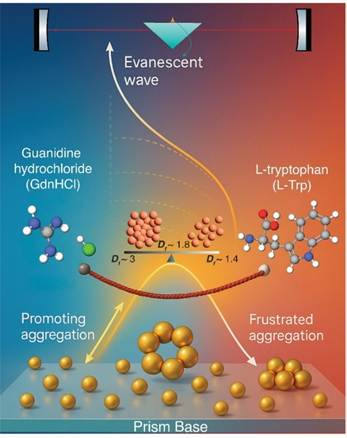 Indian researchers Use Competitive Assembly to Enhance Gold Nanoparticle Biosensors