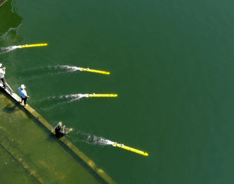 India Develops New Generation of Man-Portable AUVs for Mine Detection