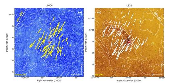 Indian Scientists have studied the role of magnetism in star formation