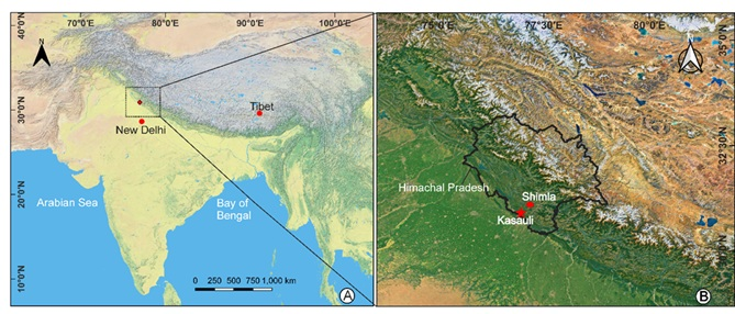 Indian Scientists have traced the origin of the Jamun